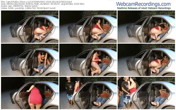 cam4-luckydarling1-08-18-2024-01-58-23