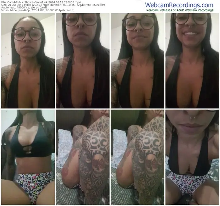 cam4-venus1ink-08-18-2024-23-06-06