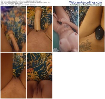 cam4-dreamloveme-08-19-2024-22-25-50