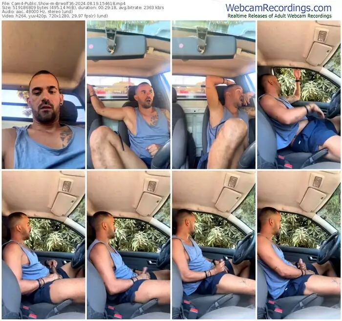 cam4-brwolf36-08-19-2024-15-46-18