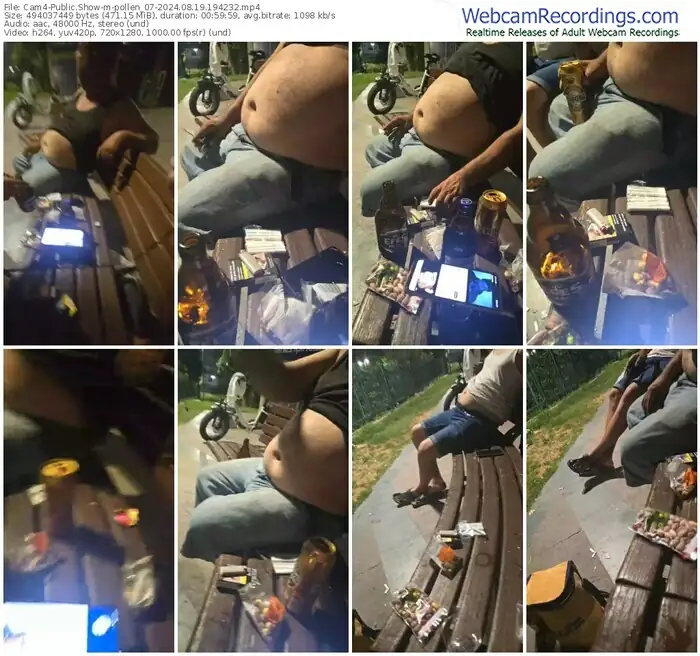 cam4-pollen_07-08-19-2024-19-42-32