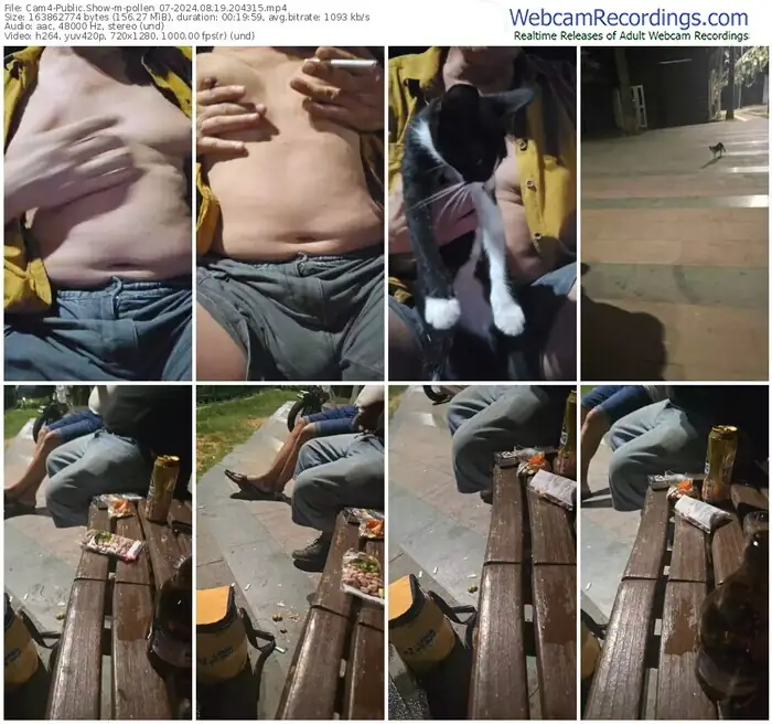 cam4-pollen_07-08-19-2024-20-43-15
