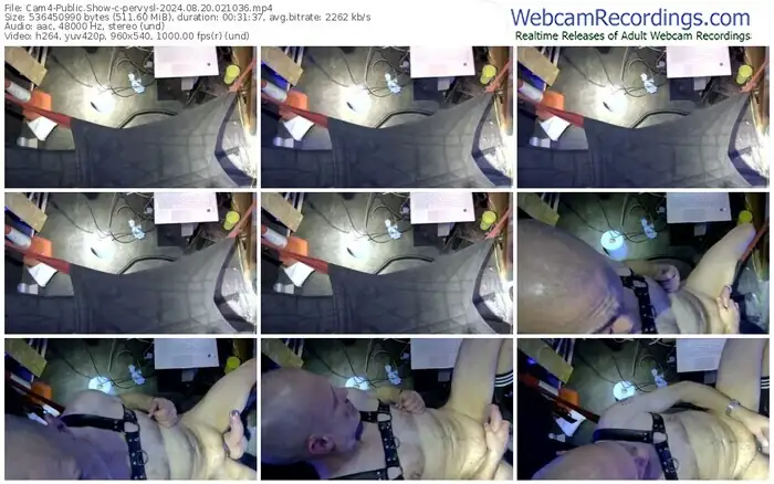 cam4-pervysl-08-20-2024-02-10-36