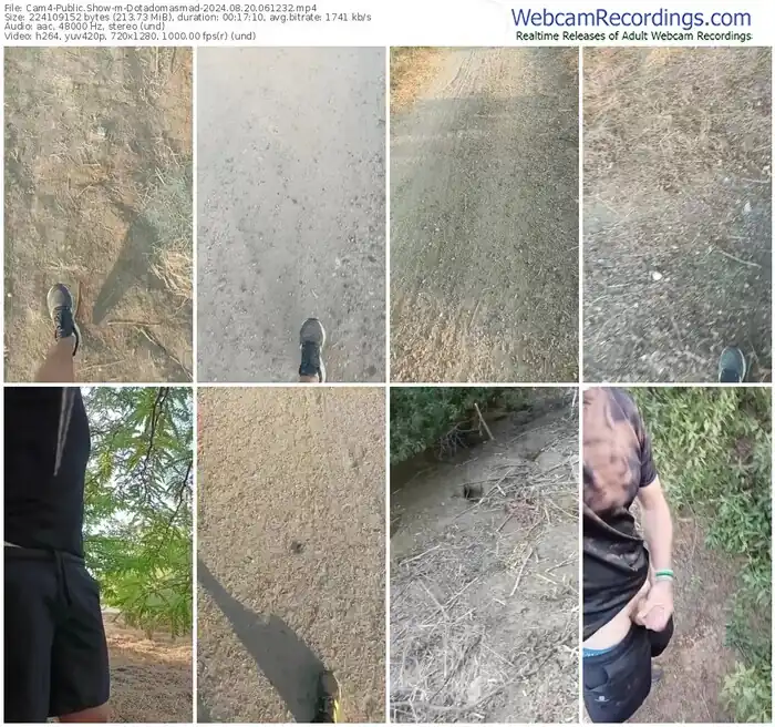 cam4-dotadomasmad-08-20-2024-06-12-32