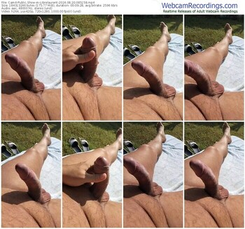 cam4-librelaurent-08-20-2024-08-51-58