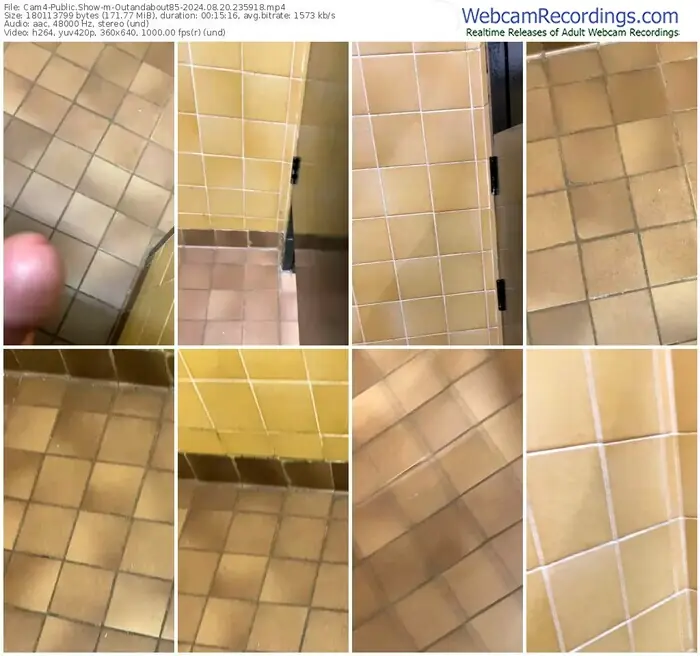 cam4-outandabout85-08-20-2024-23-59-18