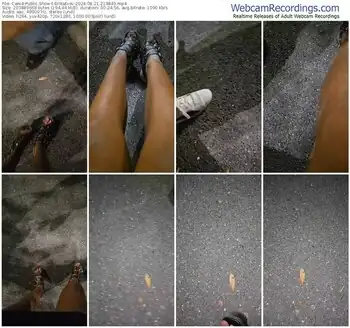 cam4-erikatxsv-08-21-2024-21-48-49