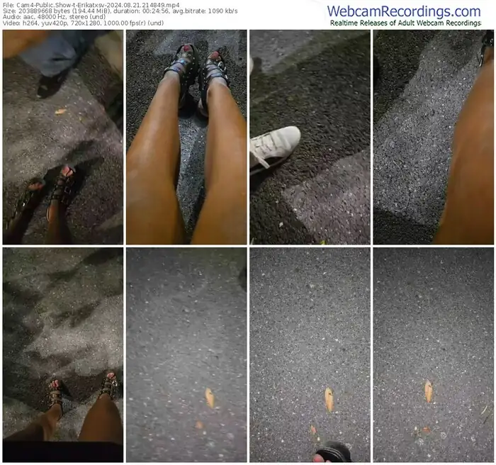 cam4-erikatxsv-08-21-2024-21-48-49