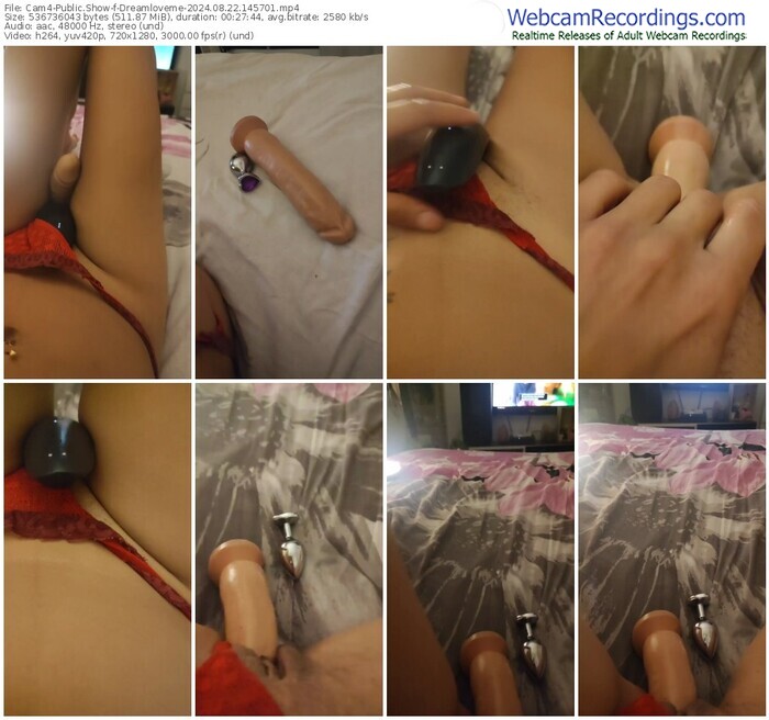 cam4-dreamloveme-08-22-2024-14-57-01