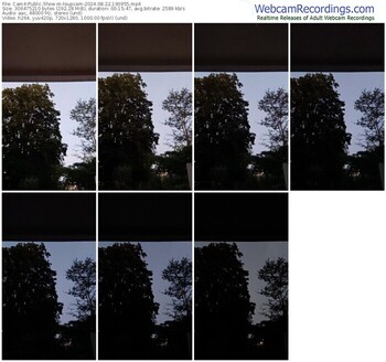 cam4-loupcam-08-22-2024-19-09-55
