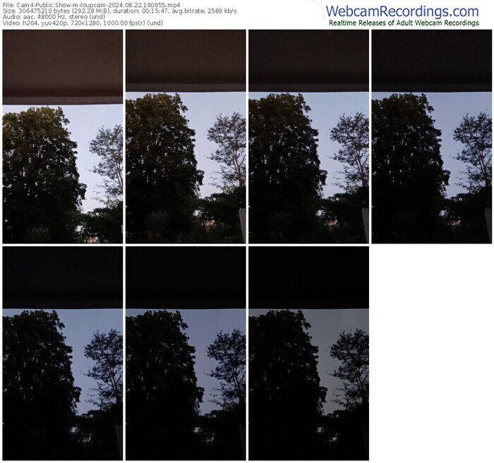 cam4-loupcam-08-22-2024-19-09-55