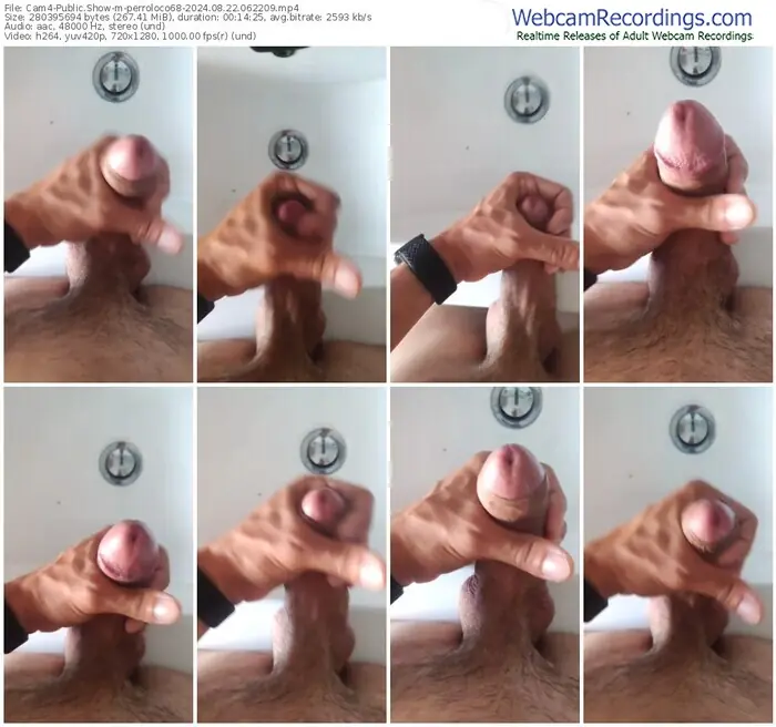 cam4-perroloco68-08-22-2024-06-22-09