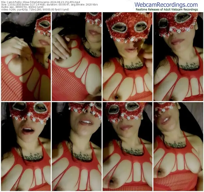 cam4-merlotinvierno-08-23-2024-15-14-55