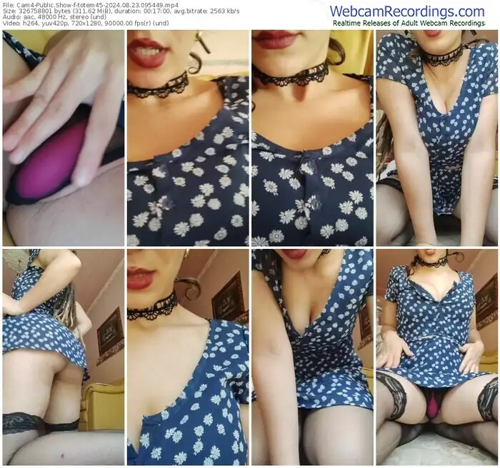 cam4-totem45-08-23-2024-09-54-49