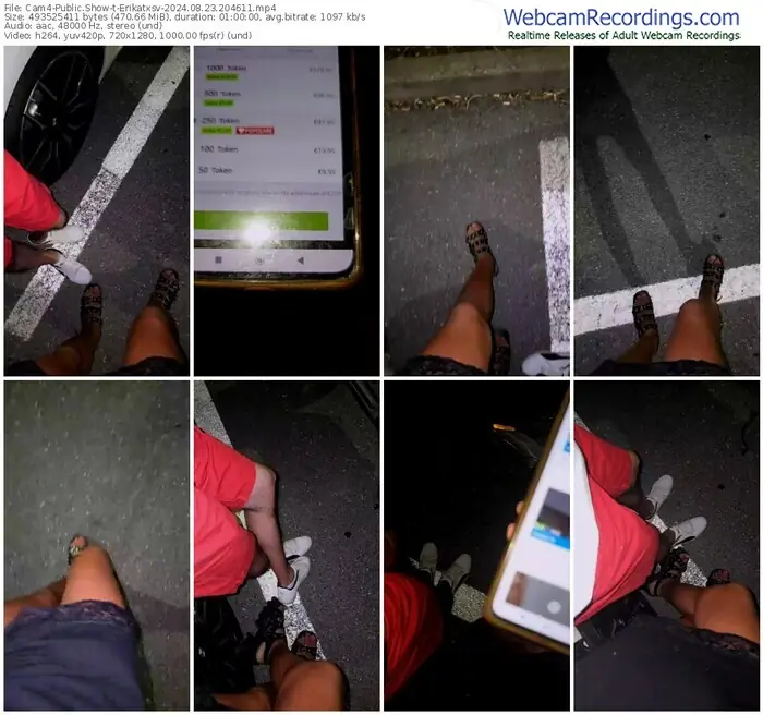 cam4-erikatxsv-08-23-2024-20-46-11