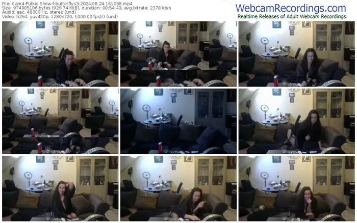 cam4-butterflys3-08-24-2024-16-10-58