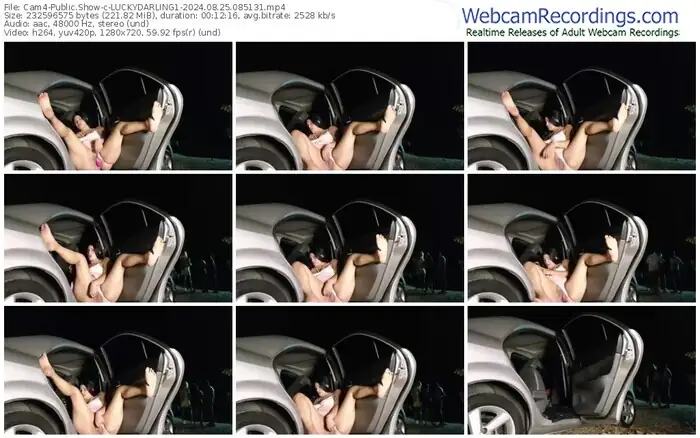 cam4-luckydarling1-08-25-2024-08-51-31