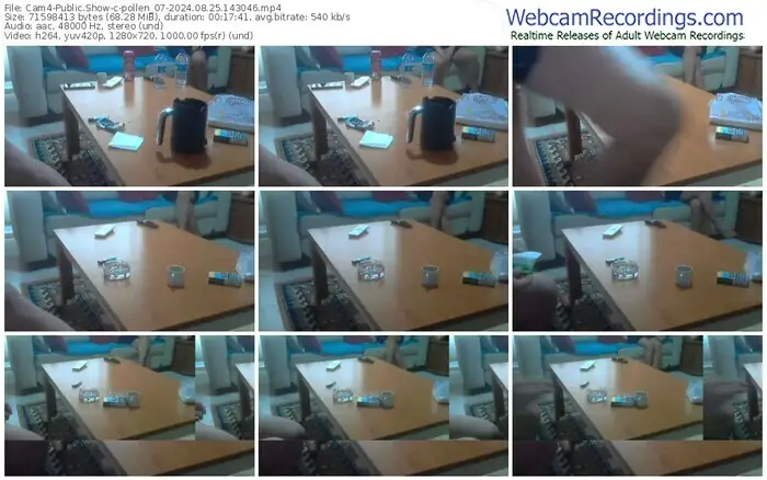 cam4-pollen_07-08-25-2024-14-30-46