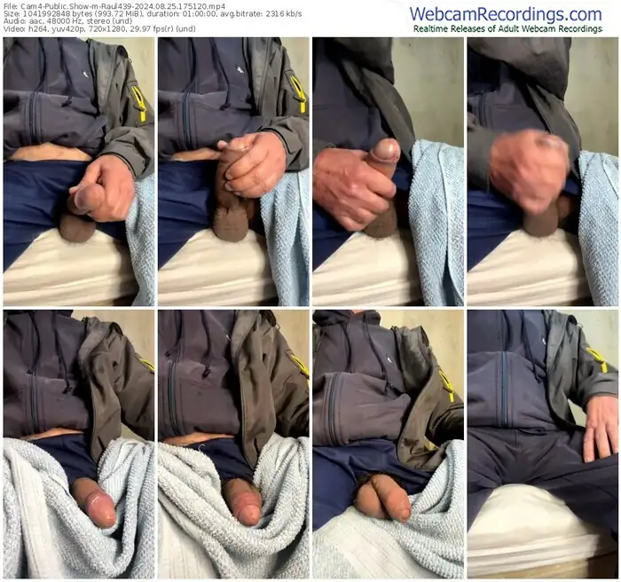 cam4-raul439-08-25-2024-17-51-20