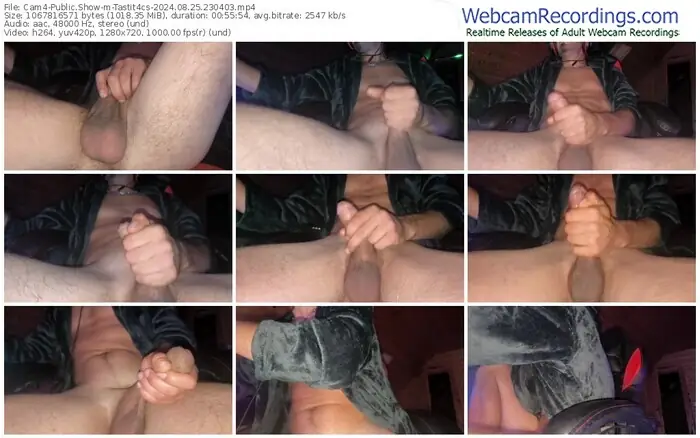 cam4-tastit4cs-08-25-2024-23-04-03