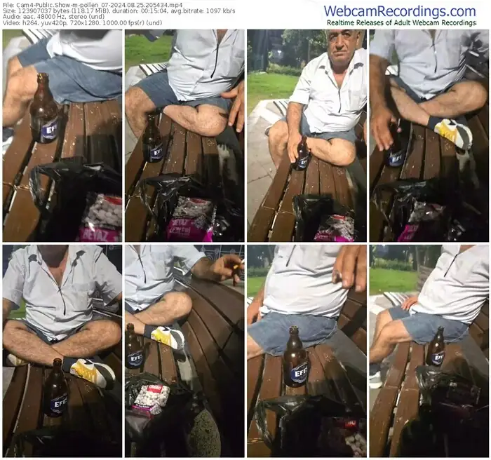 cam4-pollen_07-08-25-2024-20-54-34