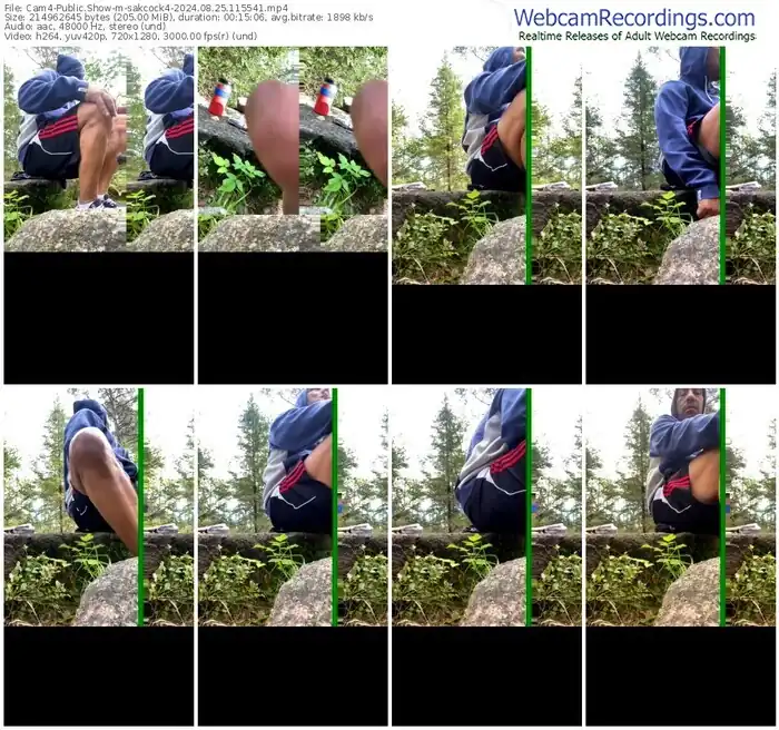 cam4-sakcock4-08-25-2024-11-55-41