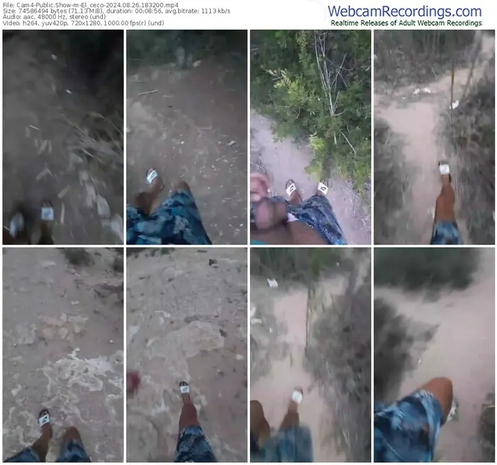 cam4-el_ceco-08-26-2024-18-32-00