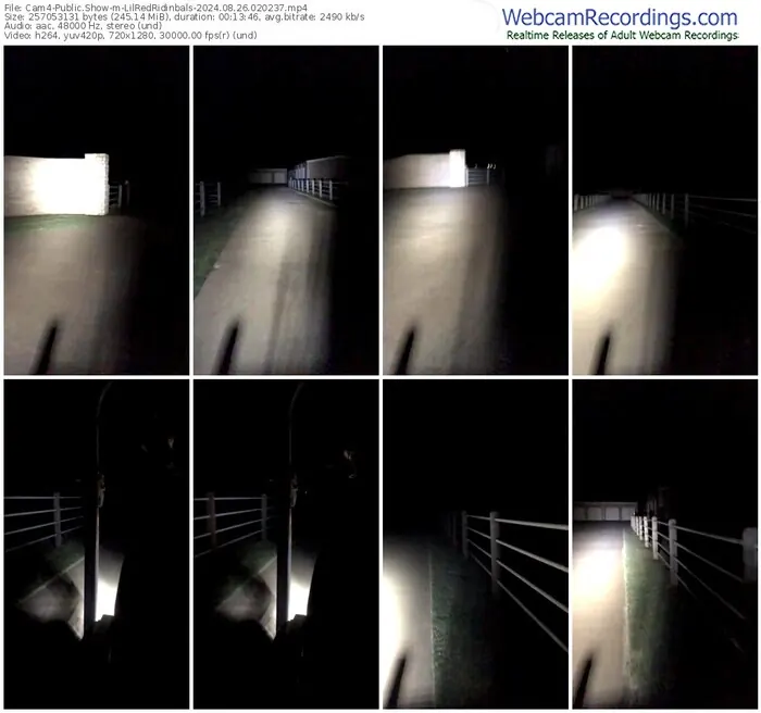 cam4-lilredridinbals-08-26-2024-02-02-37