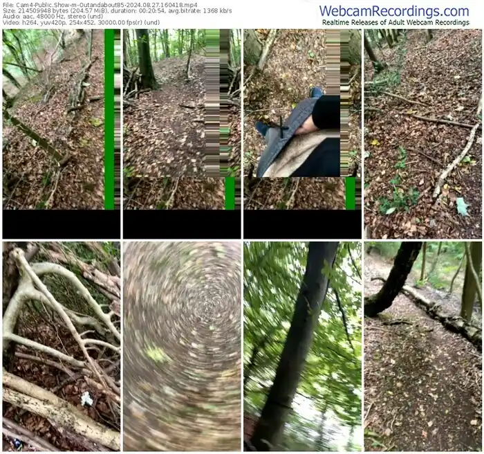 cam4-outandabout85-08-27-2024-16-04-18