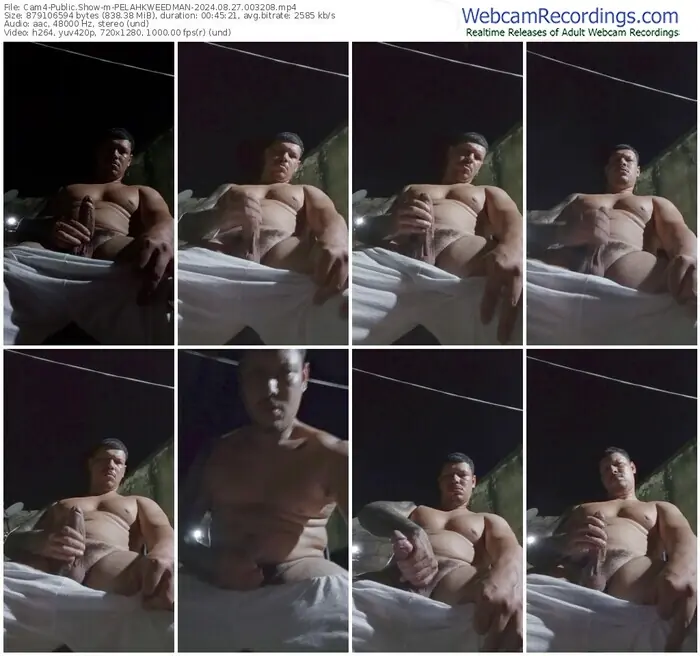 cam4-pelahkweedman-08-27-2024-00-32-08