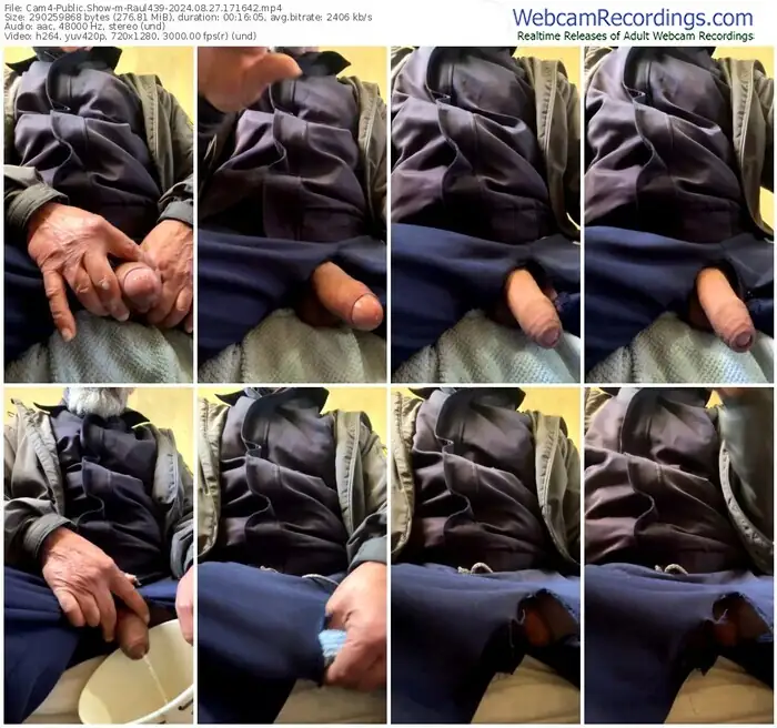 cam4-raul439-08-27-2024-17-16-42