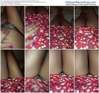 cam4-noemymonella-08-28-2024-20-47-22