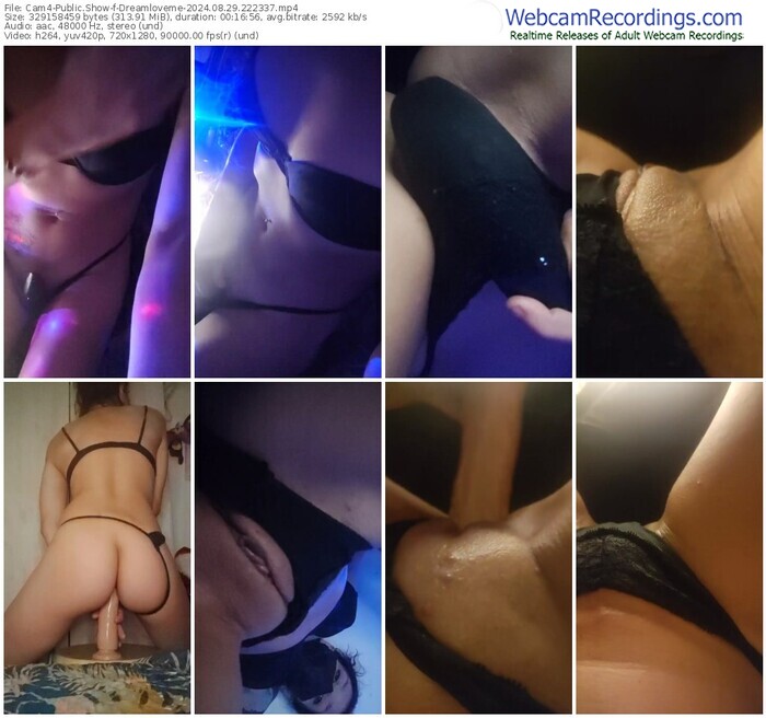 cam4-dreamloveme-08-29-2024-22-23-37