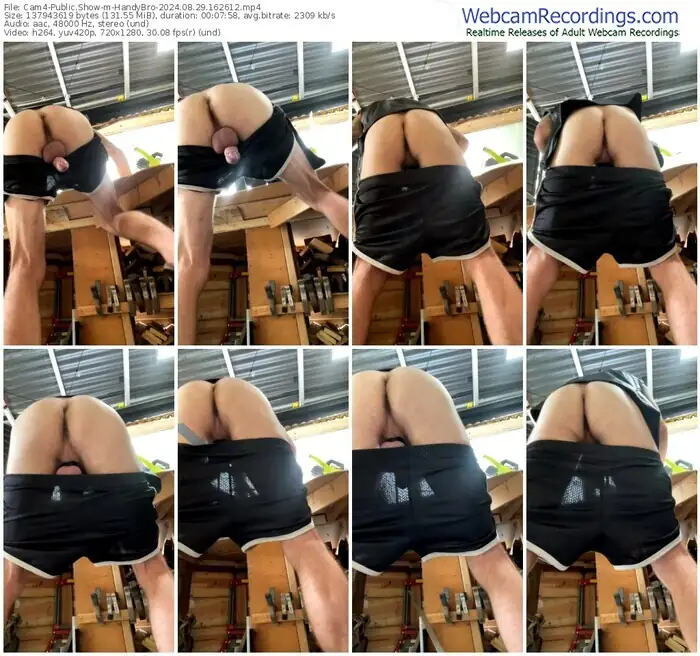 cam4-handybro-08-29-2024-16-26-12