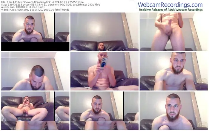 cam4-rorosexydick1-08-29-2024-22-57-53