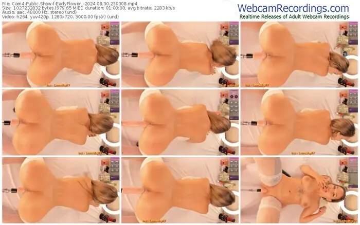 cam4-earlyflower_-08-30-2024-23-03-08