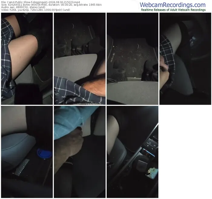 cam4-dogginguk1-08-30-2024-21-52-23