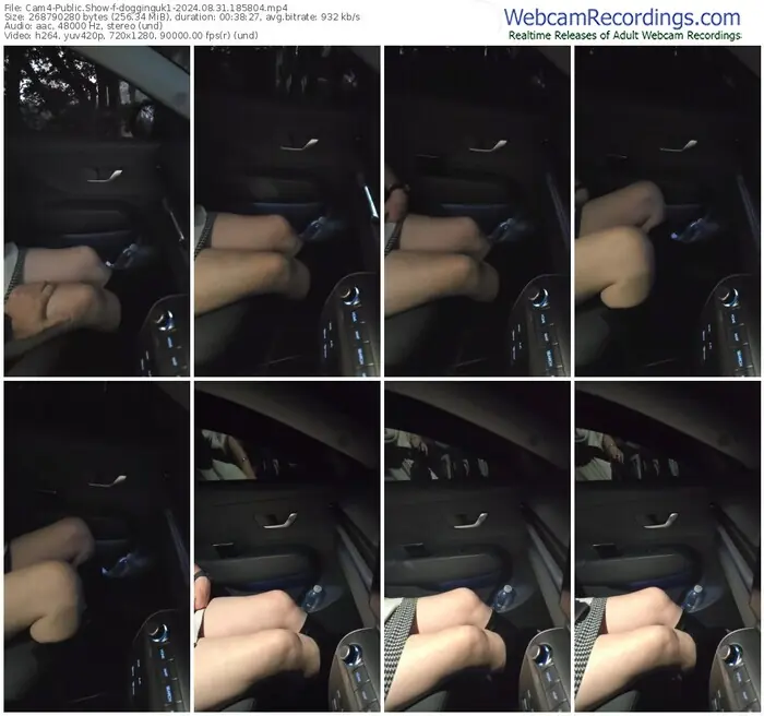 cam4-dogginguk1-08-31-2024-18-58-04