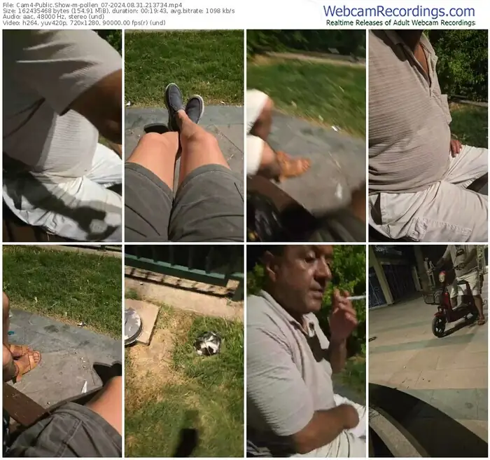 cam4-pollen_07-08-31-2024-21-37-34