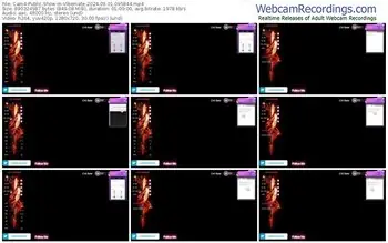 cam4-vibemate-09-01-2024-09-58-44