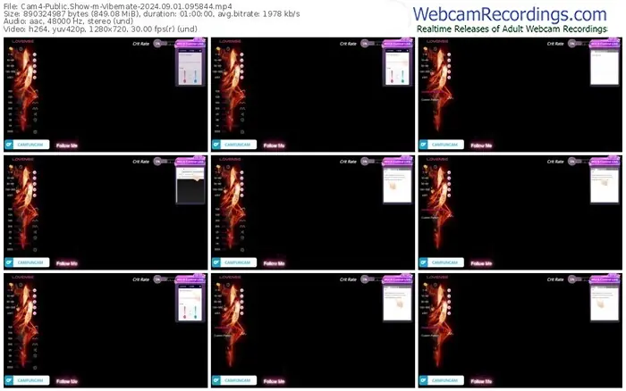 cam4-vibemate-09-01-2024-09-58-44