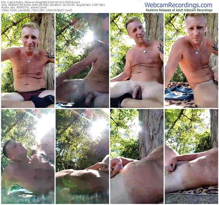cam4-alegti88-09-03-2024-13-35-54