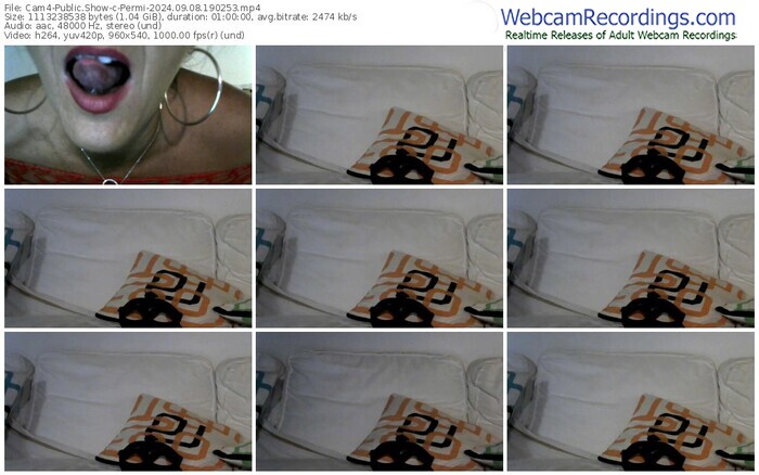 cam4-permi-09-08-2024-19-02-53