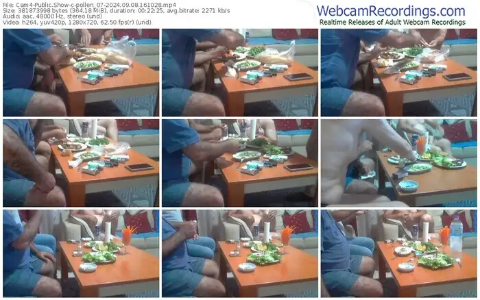 cam4-pollen_07-09-08-2024-16-10-28