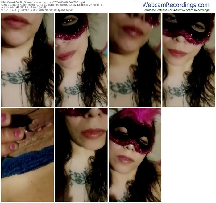 cam4-merlotinvierno-09-08-2024-04-47-08