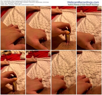 cam4-gatasexy94-09-08-2024-17-43-24
