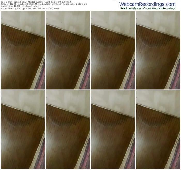 cam4-merlotinvierno-09-14-2024-07-50-56