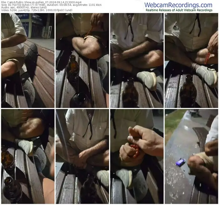 cam4-pollen_07-09-14-2024-21-33-00