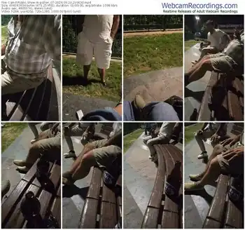 cam4-pollen_07-09-20-2024-21-06-30