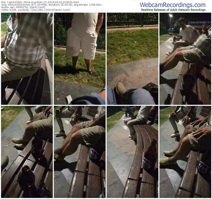 cam4-pollen_07-09-20-2024-21-06-30